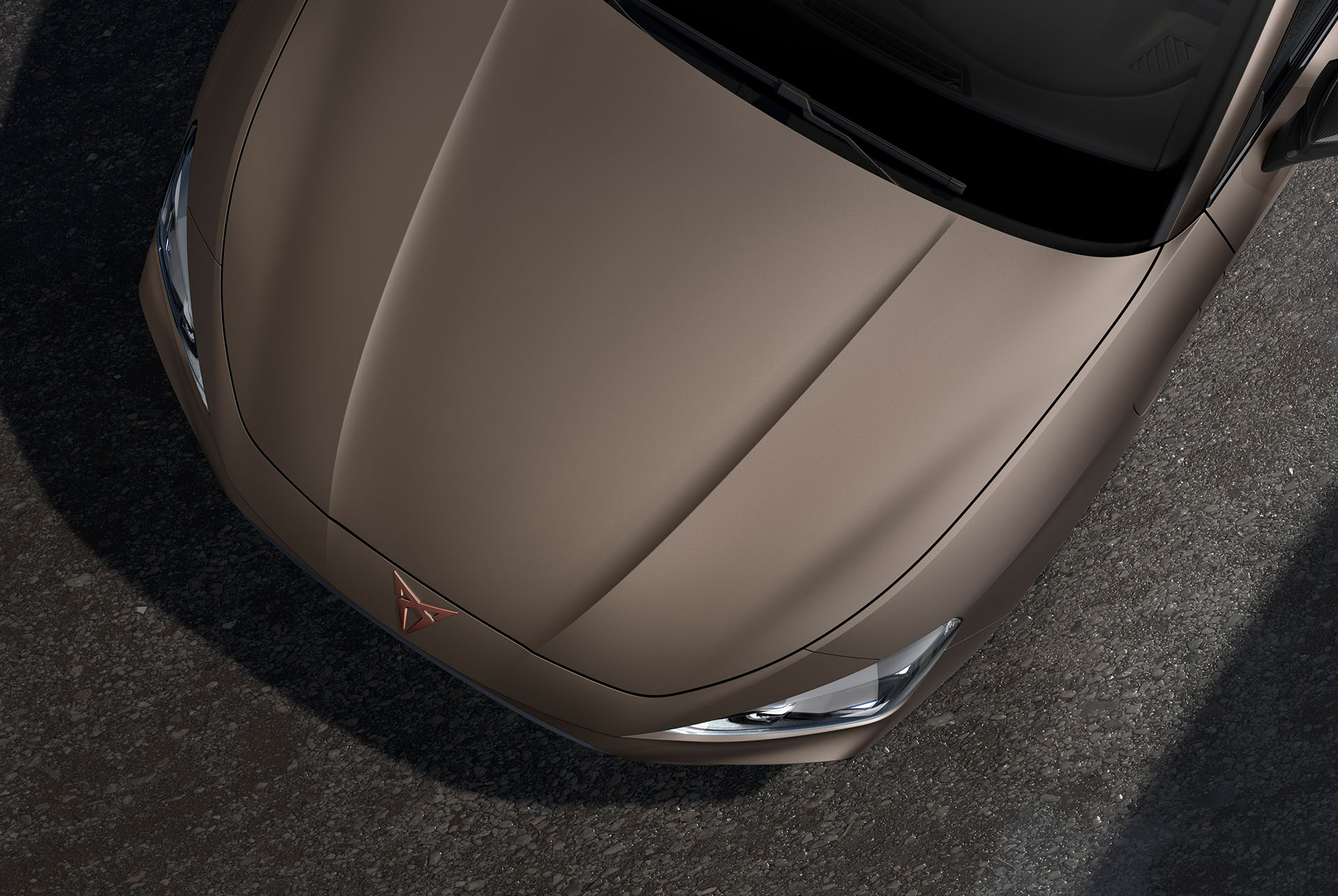 Bird’s eye view of a Century Bronze matt CUPRA Leon car hood 