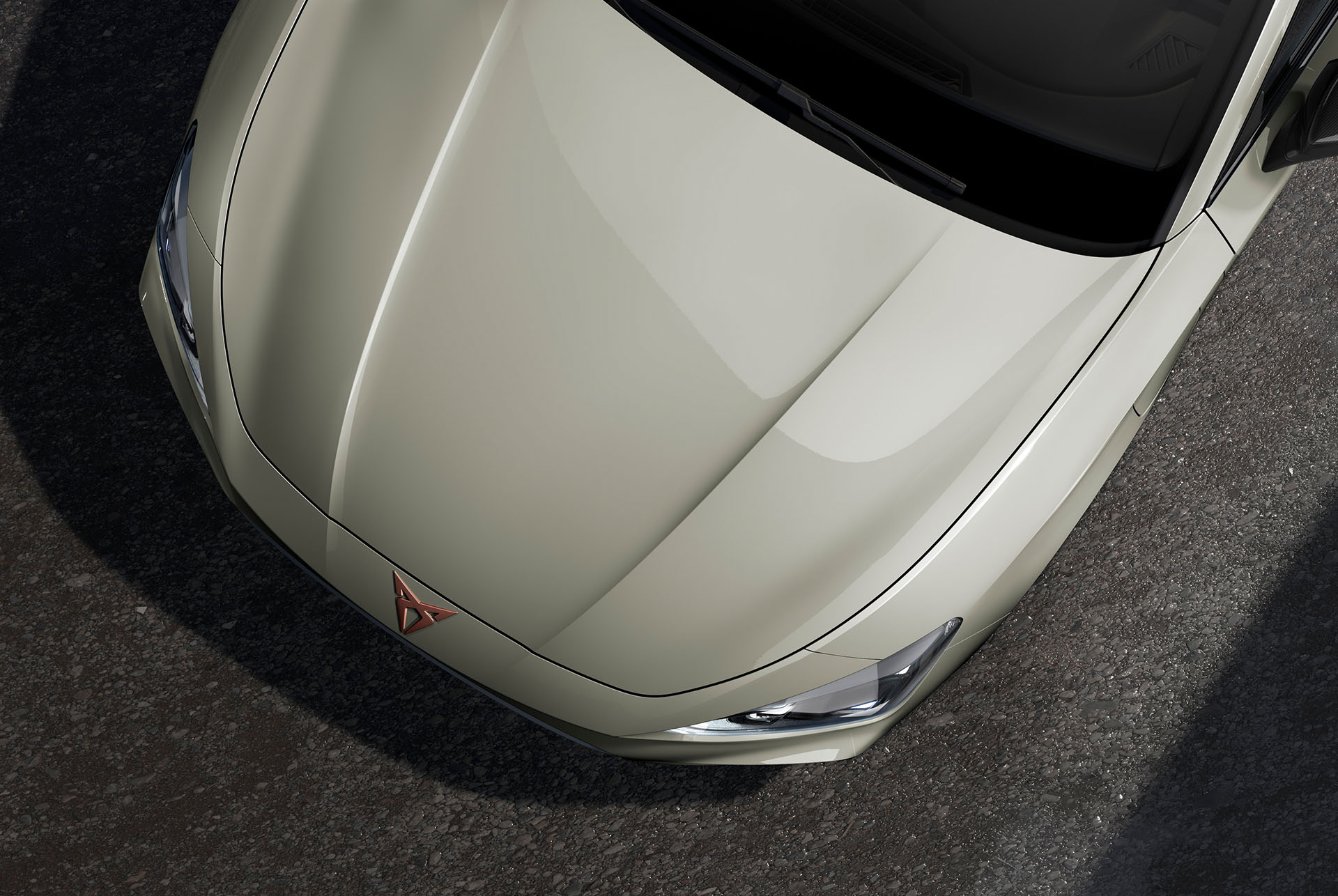 Bird’s eye view of a Taiga Grey CUPRA Leon car hood