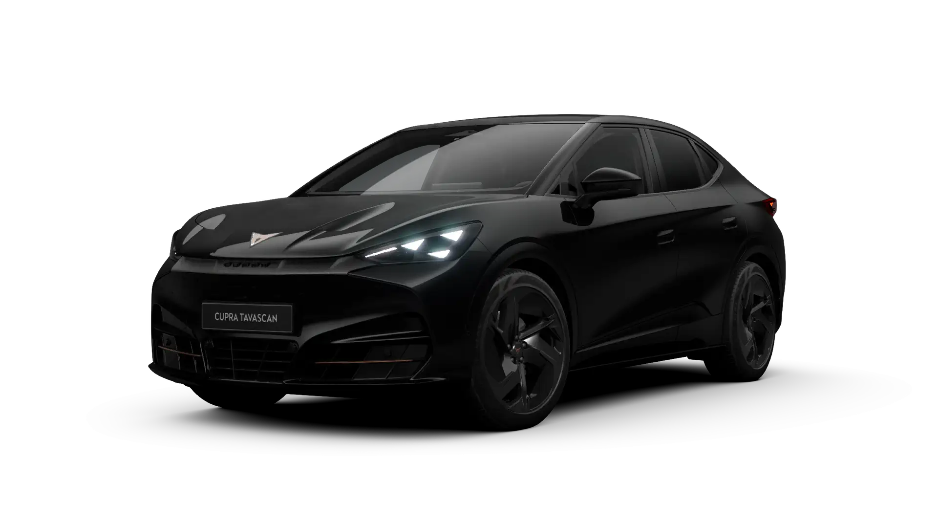 Tavascan Endurance Black Edition
