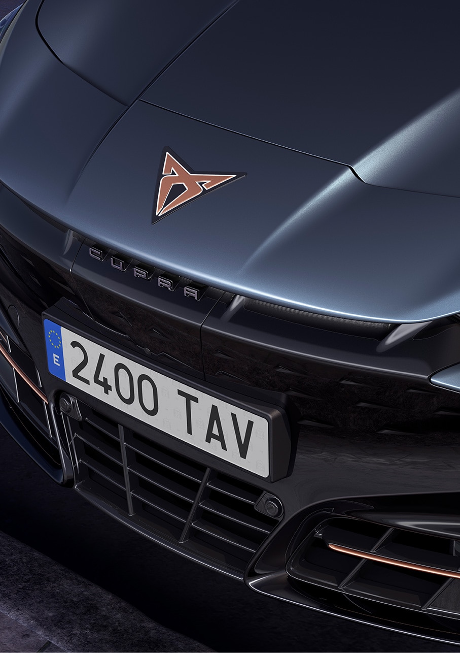 2025 tavascan car blue colour ariel shot