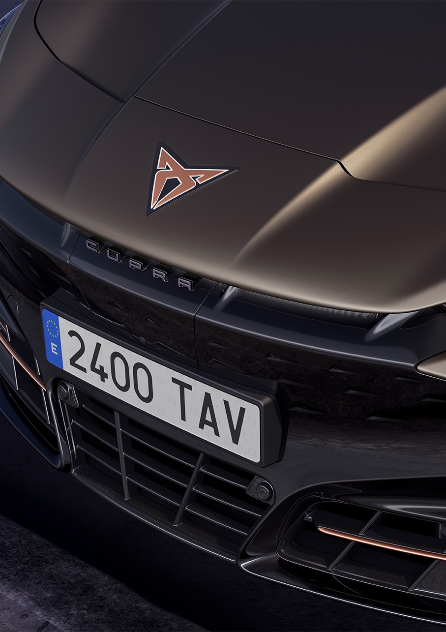 2025 tavascan car century bronze colour ariel shot